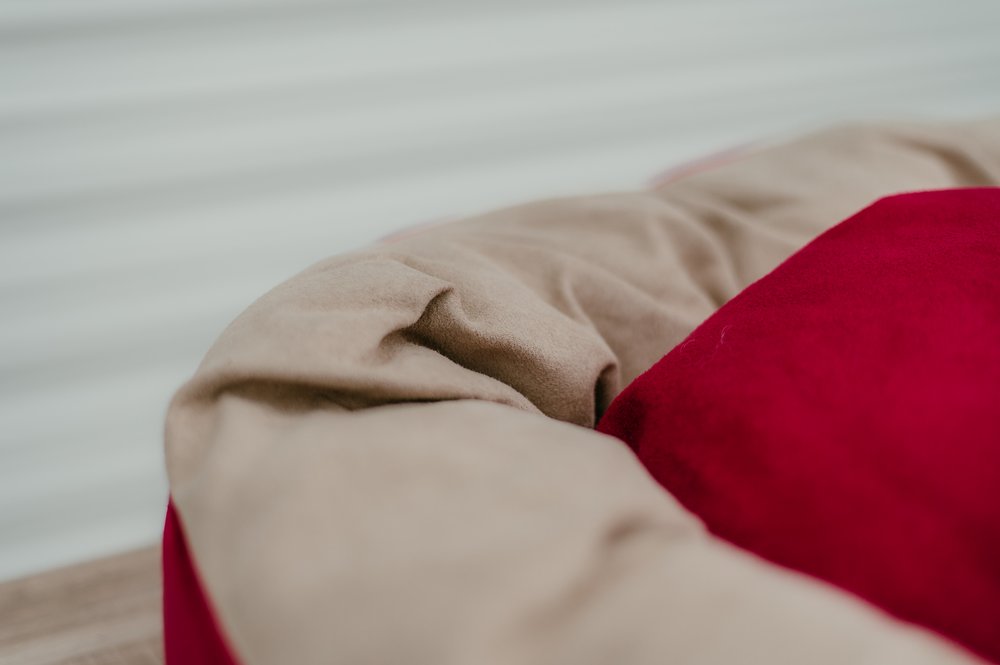 Snoozzzeee Dog - Suedette Donut - Cherry 28" - Image 2