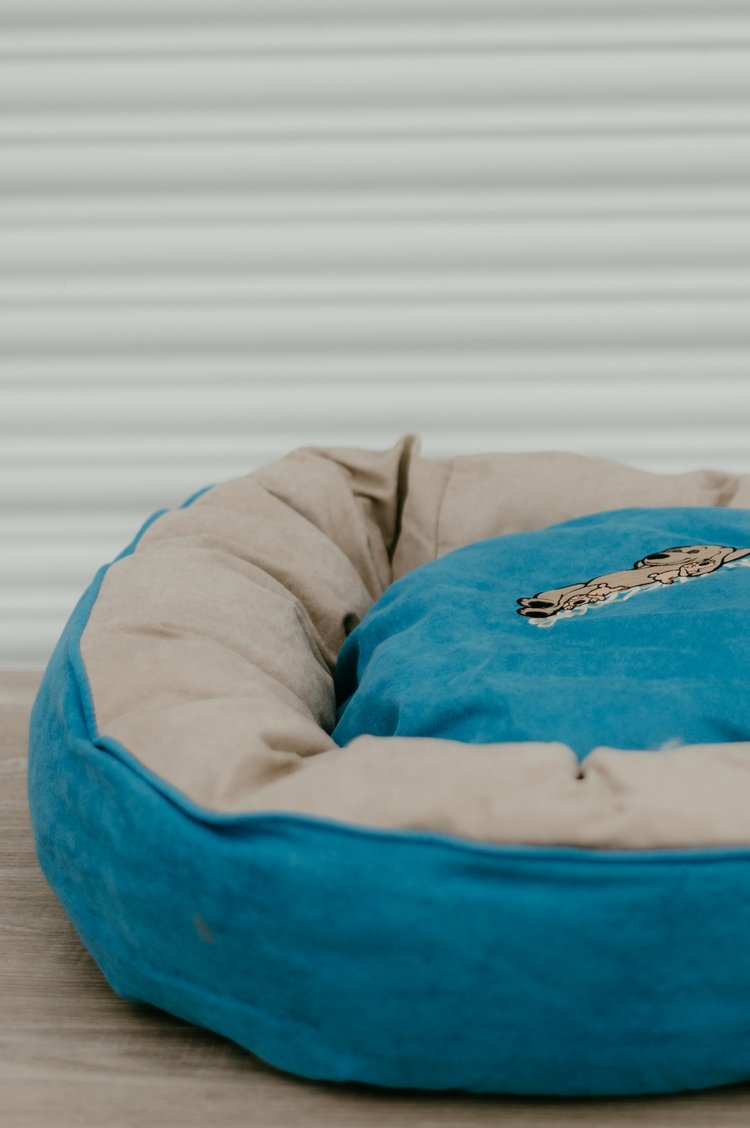 Snoozzzeee Dog - Suedette Donut - Sky Blue 28" - Image 2