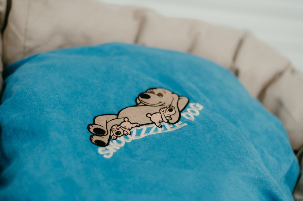 Snoozzzeee Dog - Suedette Donut - Sky Blue 28" - Image 3