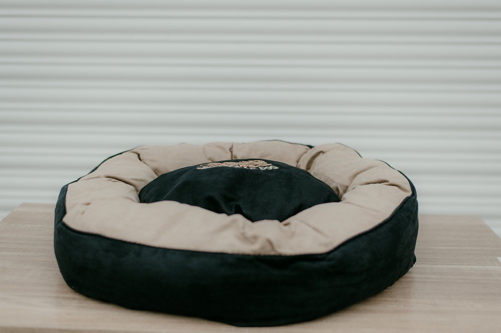 Snoozzzeee Dog - Suedette Donut - Black 28"