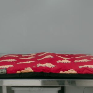 Snoozzzeee Dog - Classic Cotton Lounger - Pink 70 x 100cm