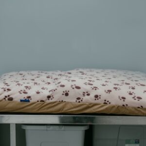 Paws Cushion Bed - Chocolate 85 x 120cm