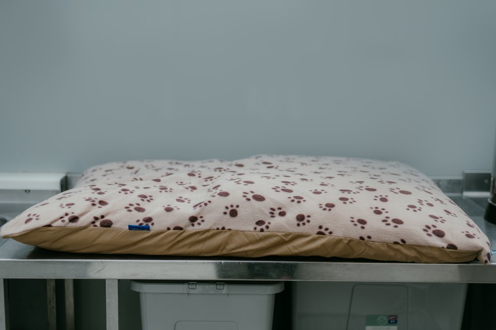 Paws Cushion Bed - Chocolate 85 x 120cm