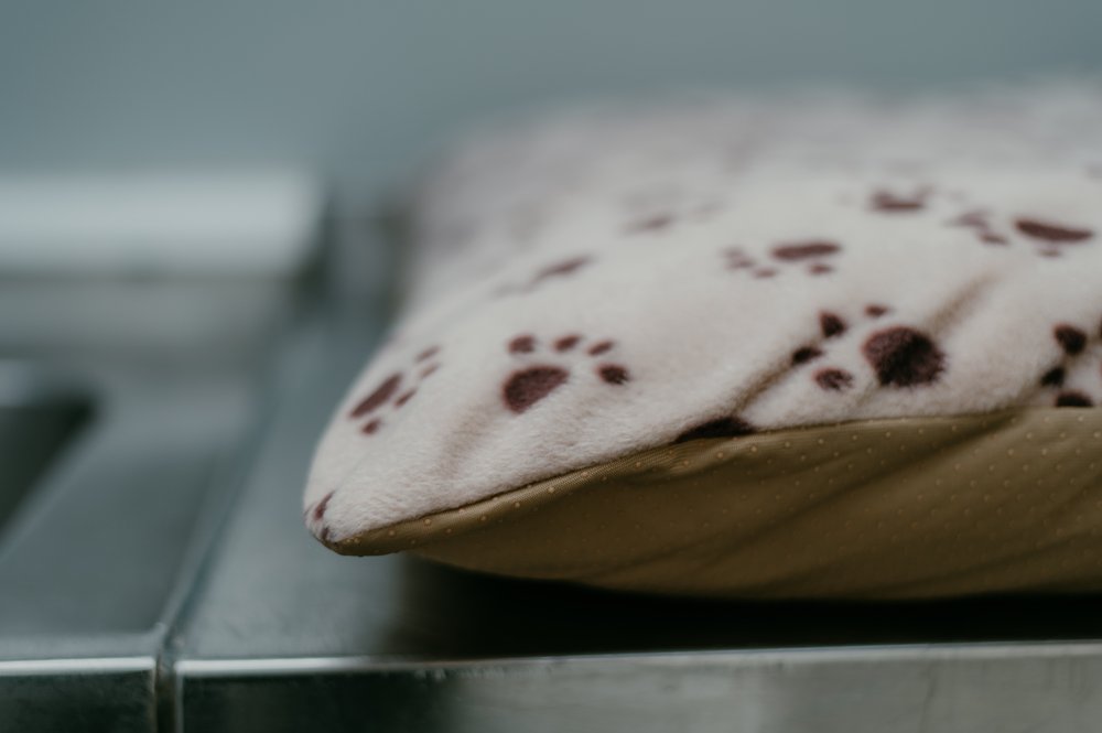 Paws Cushion Bed - Chocolate 85 x 120cm - Image 3