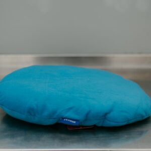 Pillow Pads - Light Blue 22"