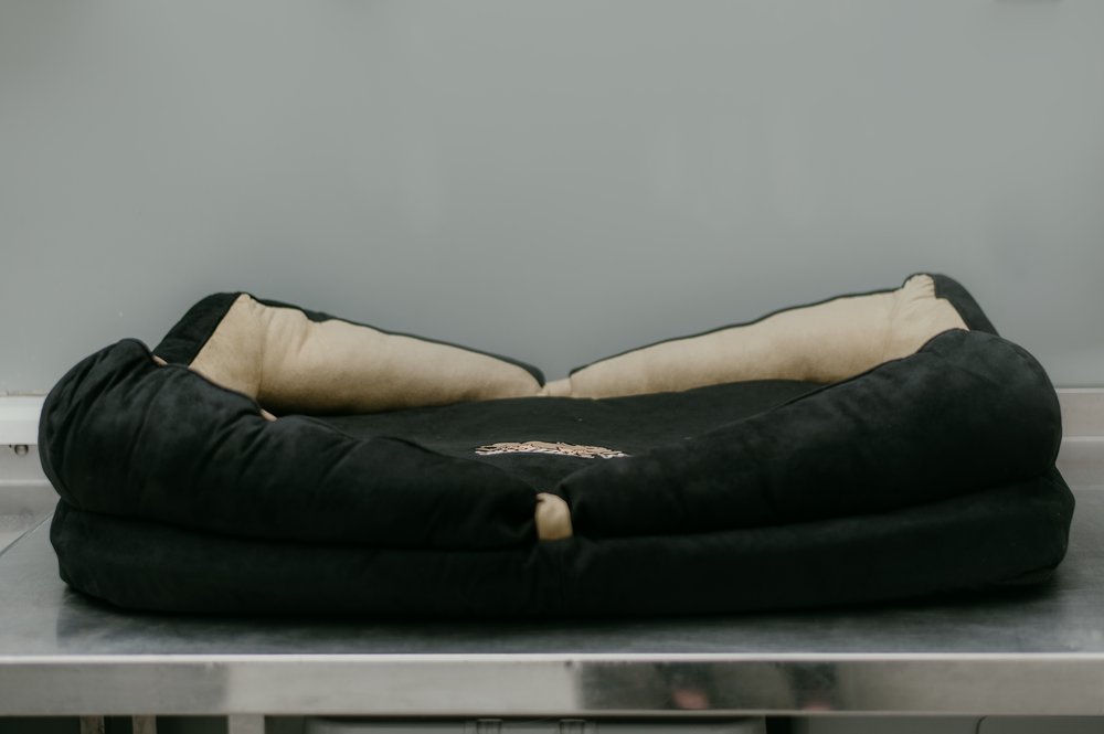 Snoozzzeee Dog Bow Bed - Black 36"